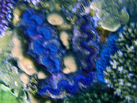 PA131135.JPG