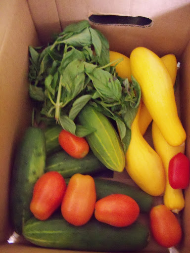Share Box 1