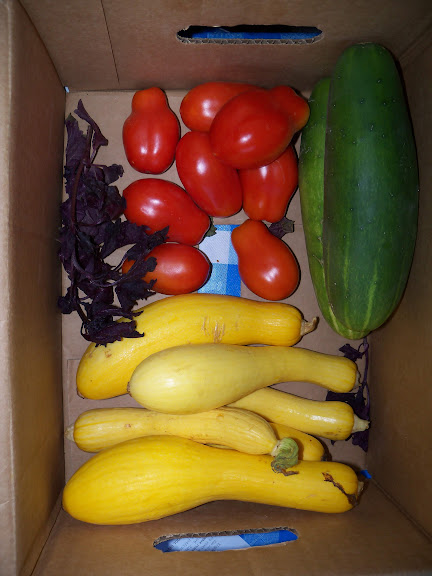 Option A Box