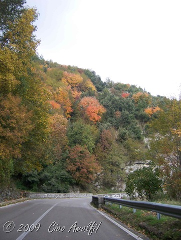 [CiaoAmalfiCoastBlogAutumnTramonti27.jpg]