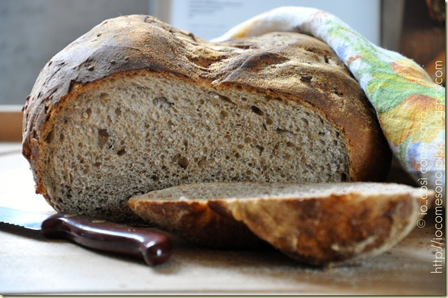 Pane nero ai 7 cereali a lievitazione naturale4 Pane nero ai 7 cereali a lievitazione naturale4