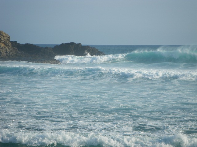 [IMGP39742.jpg]