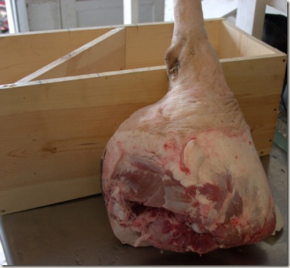 Ham - Saltbox