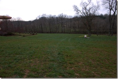 Green Grass