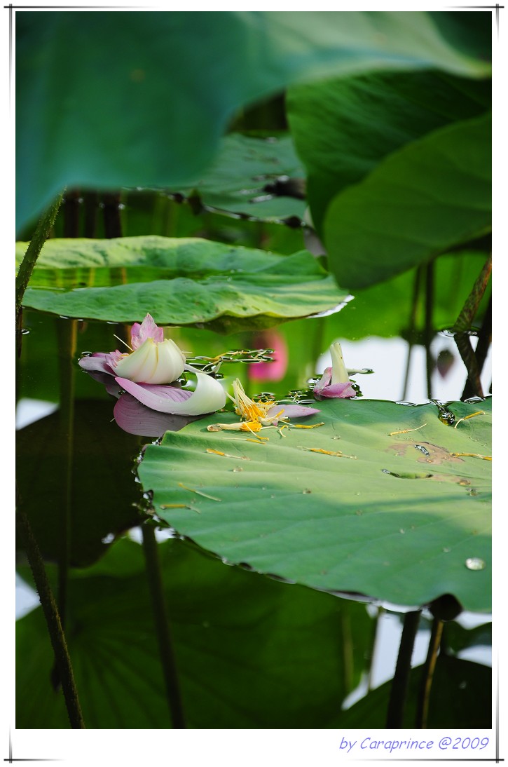 [nEO_IMG_DSC_1857.jpg]