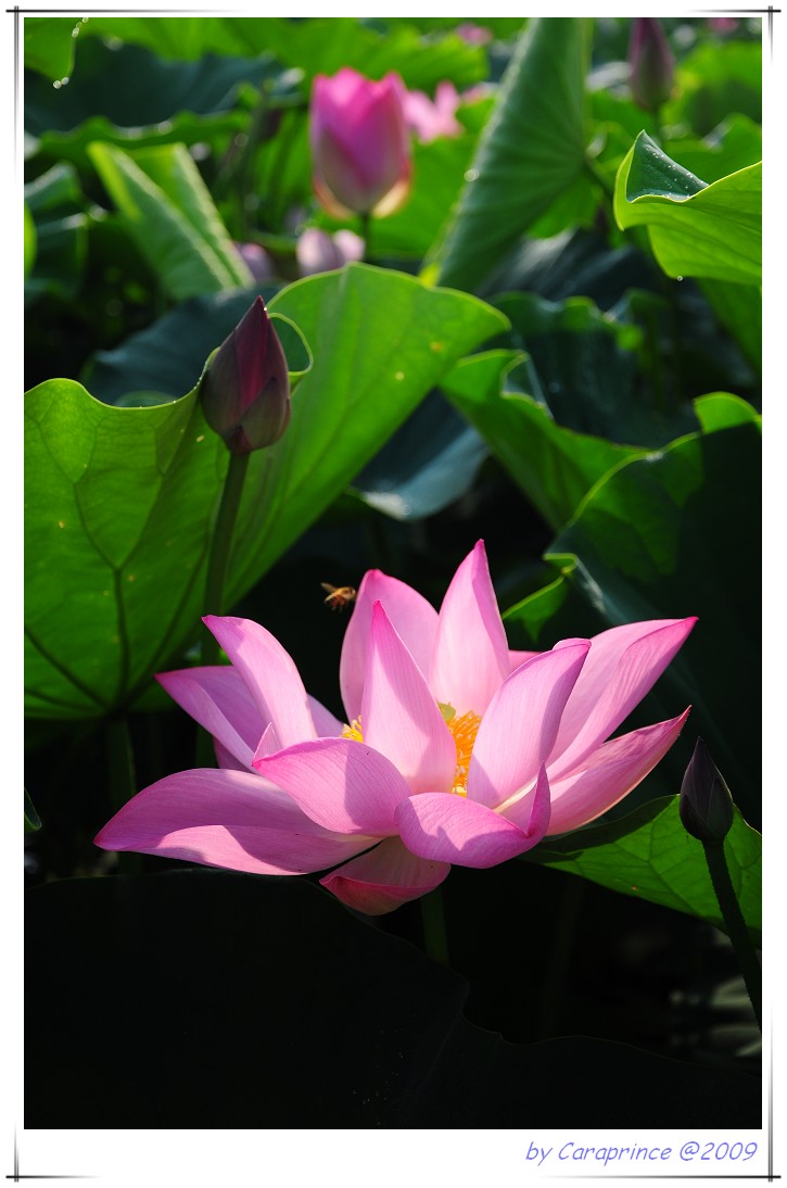 [nEO_IMG_DSC_2036.jpg]