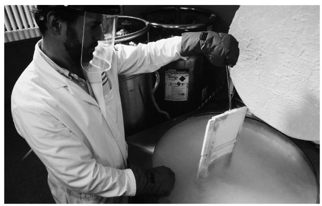 Liquid nitrogen accounts for about one-third of all commercial uses of nitrogen. Here, a medical worker puts a sample of bone marrow into a tank of liquid nitrogen for preservation.