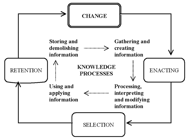 Strategic sense-making and related knowledge process of the organization
