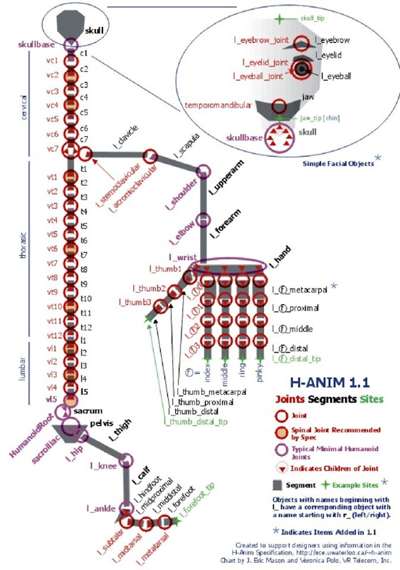 The H-anim 1.1 Joint and Segment hierarchy (from H-anim Website). 