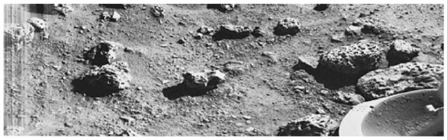 First photograph of Martian surface taken by Viking Lander 2 at the Utopia Planitia site. The scene reveals a wide variety of rocks littering a surface of fine-grained deposits. Boulders in the 10-20 centimeter (4—8 inch) size range—somewhat vesicular (holes) and some apparently fluted by wind—are common. Many of the pebbles have tubular or platy shapes, suggesting that they may be derived from layered strata. The fluted boulder just above the Lander's footpad displays a dust-covered or scraped surface, suggesting it was overturned or altered by the foot at touchdown. Brightness variations at the beginning of the picture scan (left edge) probably are due to dust settling after landing. A substantial amount of fine-grained material kicked up by the descent engines has accumulated in the concave interior of the footpad. Center of the image is about 1.4 meters (5 feet) from the camera. Field of view extends 70° from left to right and 20° from top to bottom. This second landing location is in the northern latitudes about 7500 kilometers (4600 miles) northeast of the Viking 1 Lander site, where touchdown occurred 45 days earlier. 