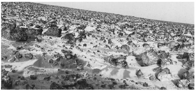 High-resolution photo of the Martian surface taken by Viking Lander 2 at the Utopia Planitia landing site. View was made on May 18, 1979 and relayed to earth by Obiter 1 on June 7. The ''rolling hill'' Marscape is an artifact of the Lander's 8-degree tilt; the horizon is generally flat. There is some relief of the flat terrain, however, at lower scales locally and at greater scales on the horizon. In stereo, a few gullies and depressions take on considerable depth and dimension. A thin coating of water ice on the rocks and soil is visible. The time the frost appeared corresponded almost exactly with the build-up of frost one Martian year (23 earth months) earlier when a similar view had been taken. The frost remained on the surface for about one hundred days. Some scientists believe dust panicles in the atmosphere may pick up bits of solid water. But carbon dioxide present in the Martian atmosphere also may freeze and adhere to particles, becoming sufficiently heavy to settle. Warmed by the sun, the surface evaporates the carbon dioxide and returns it to the atmosphere, leaving behind water and dust. The ice seen in this picture, like that which formed during the earlier martian year, is extremely thin, perhaps no more than 1/1000 inch (0.03 millimeter) thick.