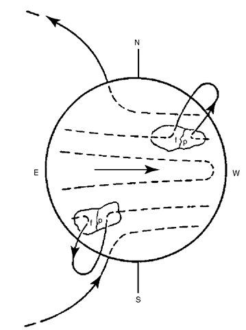 Bipolar magnetic regions (BMRs) are formed where buoyant flux loops of the submerged toroidal field are brought to the surface after several solar rotations have twisted the original global field. The BMRs continue to expand, and flux loops rise higher into the corona. 