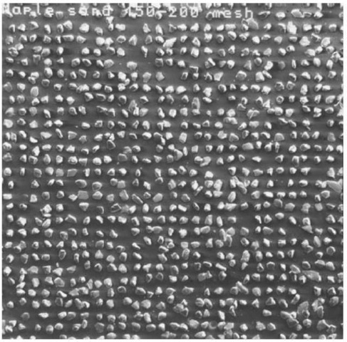 Photograph of sand particles separated using a mesh screen and mounted on a SEM stub. 