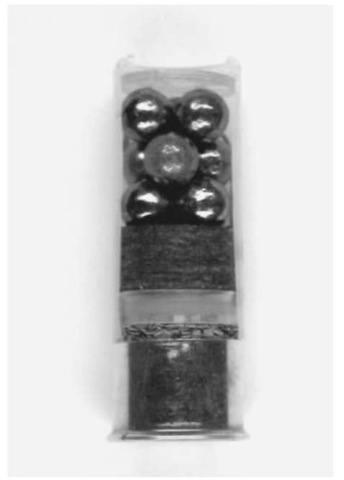 Cross-section of a shot shell containing buckshot pellets.