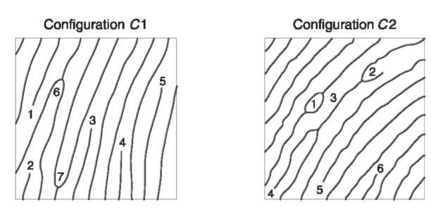 The configuration C1 shows a skeletonized fingerprint pattern with two bifurcations and five ridge endings. The configuration C2 shows a pattern with one lake, two bifurcations facing each other, a hook and three ridge endings.