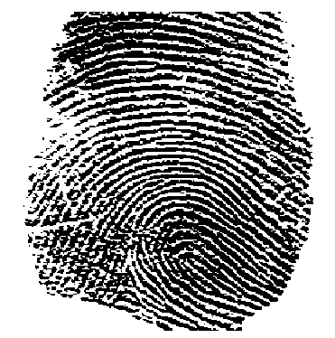 Fingerprint (shown in Fig. 7) reproduced using edge filter.