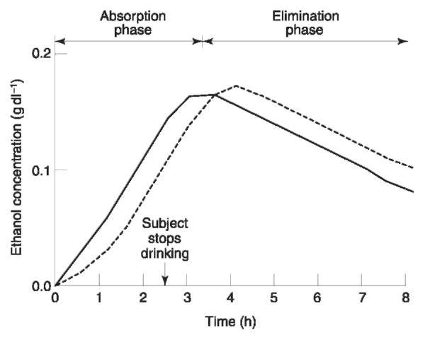 Hypothetical pharmacokinetic curvesfor ethyl alcohol in blood (—) and vitreoushumor (—). Note that the vitreousalcohol concentration islower than that in the blood during the absorption phase, but it exceeds the blood alcohol concentration during elimination.