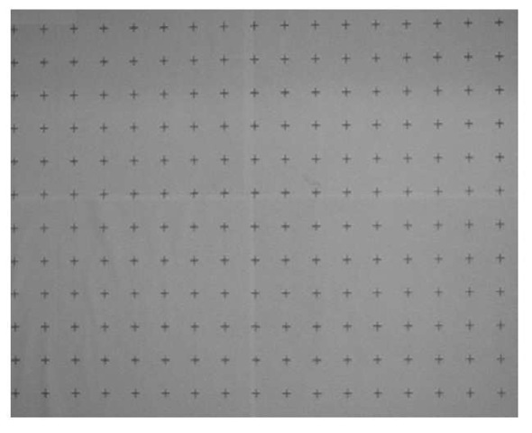 Template to image rectification. Crosses are equidistant with a 4cm separation. 