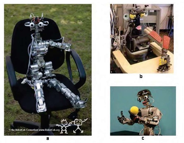 Developmental robots. (a) iCub  (b) Babybot  (c) Infanoid