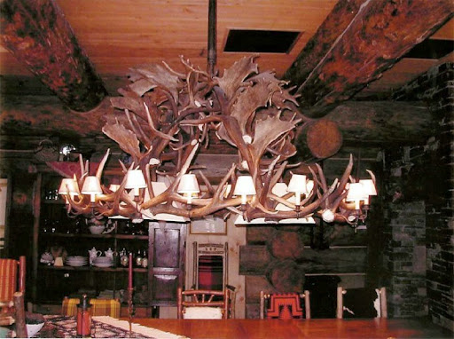 antler