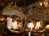 Moose Antler Lustres http://www.gonewildcreations.com/contact-us/