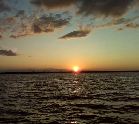 [IMG00070crop3.jpg]