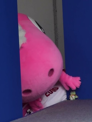 カエルさんと仲良しのパオロン カエルさんと仲良しのパオロン