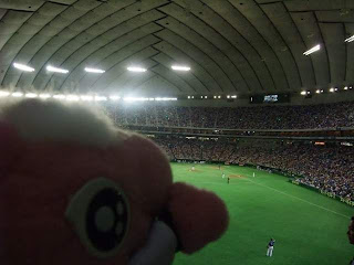 東京ドームで応援中!! 東京ドームで応援中!!