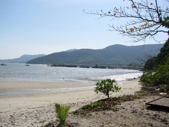 [IMG_84481.jpg]