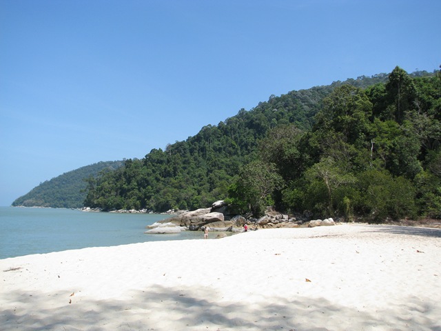 [IMG_84653.jpg]