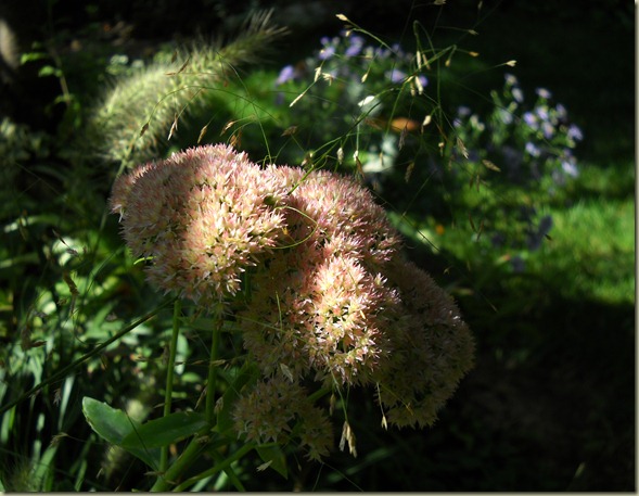 DSCN5833 DSCN5833
