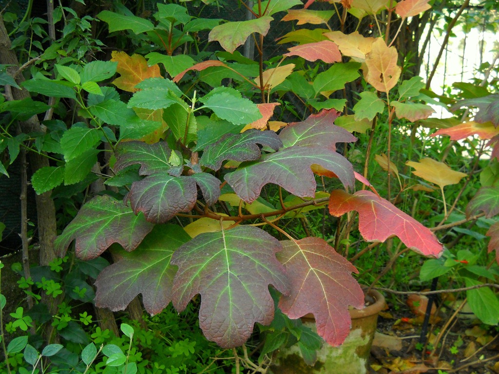 [DSCN70625.jpg]