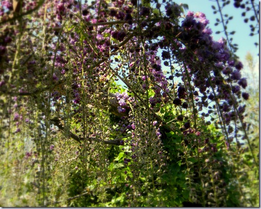 DSCN5772 DSCN5772