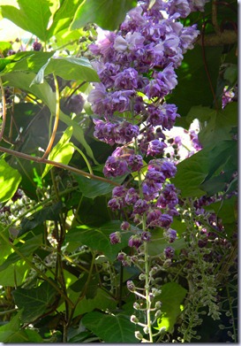 DSCN5984 DSCN5984