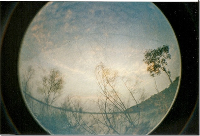 scan0009