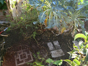Before: small area no more than 2' in diameter<br />
soil moisture at a depth of 2-3 inches