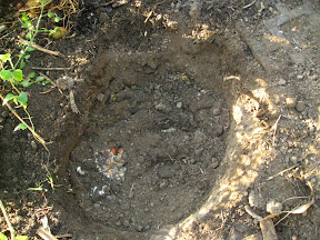 Add layer of bucket goop and a layer of soil - distributes hungry microbes and allows aeration