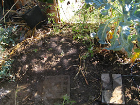 After! Took about 45 minutes to do (with planting) and it doesn't look like much, but will have long reaching effects