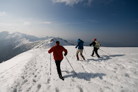 _MG_8707.jpg