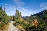 _MG_3932.jpg