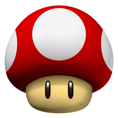 [nsmb-mushroom-super[5].jpg]