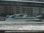 IMG_2516.JPG