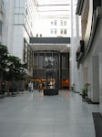 IMG_2769.JPG