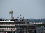 IMG_3498.JPG