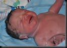 cullens birth 178
