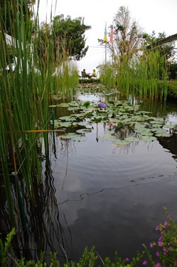 [IMG_7106_resize5.jpg]