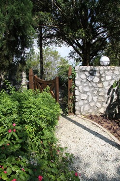 [IMG_6916_resize3.jpg]