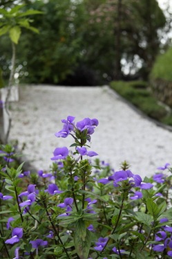 [IMG_7137_resize5.jpg]