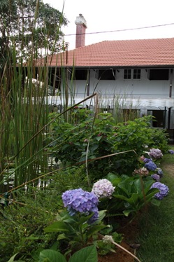 [IMG_7078_resize5.jpg]