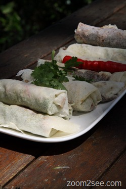 [IMG_3244_resize1.jpg]